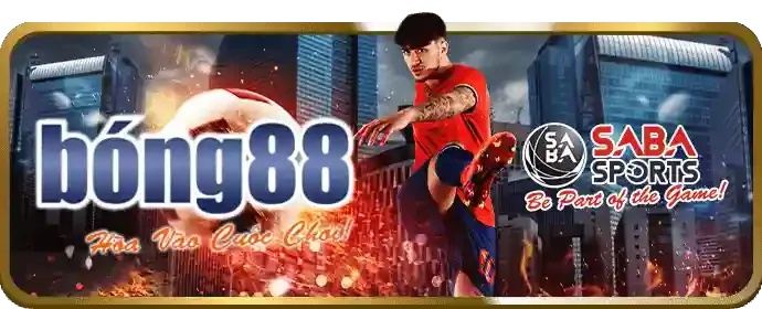 Chính sách cá cược có trách nhiệm của lc888